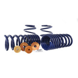 Ford Racing 15-22 Mustang Track Lowering Spring Kit