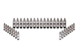 Ford Racing Ford GT and Mustang SVT 5.4L Lash Adjusters