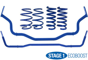 Steeda Stage 1 Mustang Handling Package - Linear EcoBoost (2015-2023)