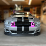 Striker Lights - 2013 - 2014 Mustang RTR Style Grille