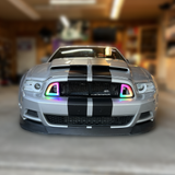 Striker Lights - 2013 - 2014 Mustang RTR Style Grille